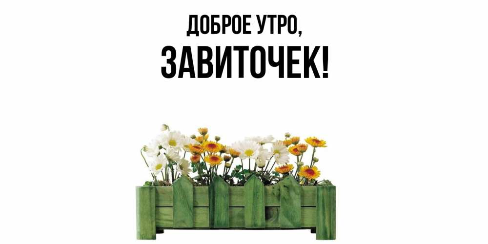 Открытка  для любимых и родных. завиточек, Доброе утро  