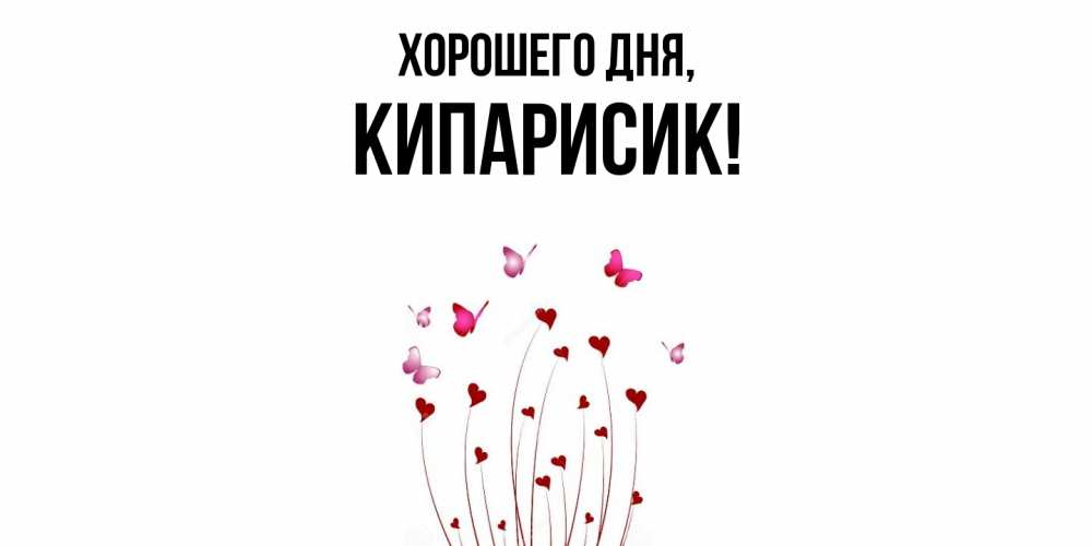 Открытка  для любимых и родных. кипарисик, Хорошего дня  