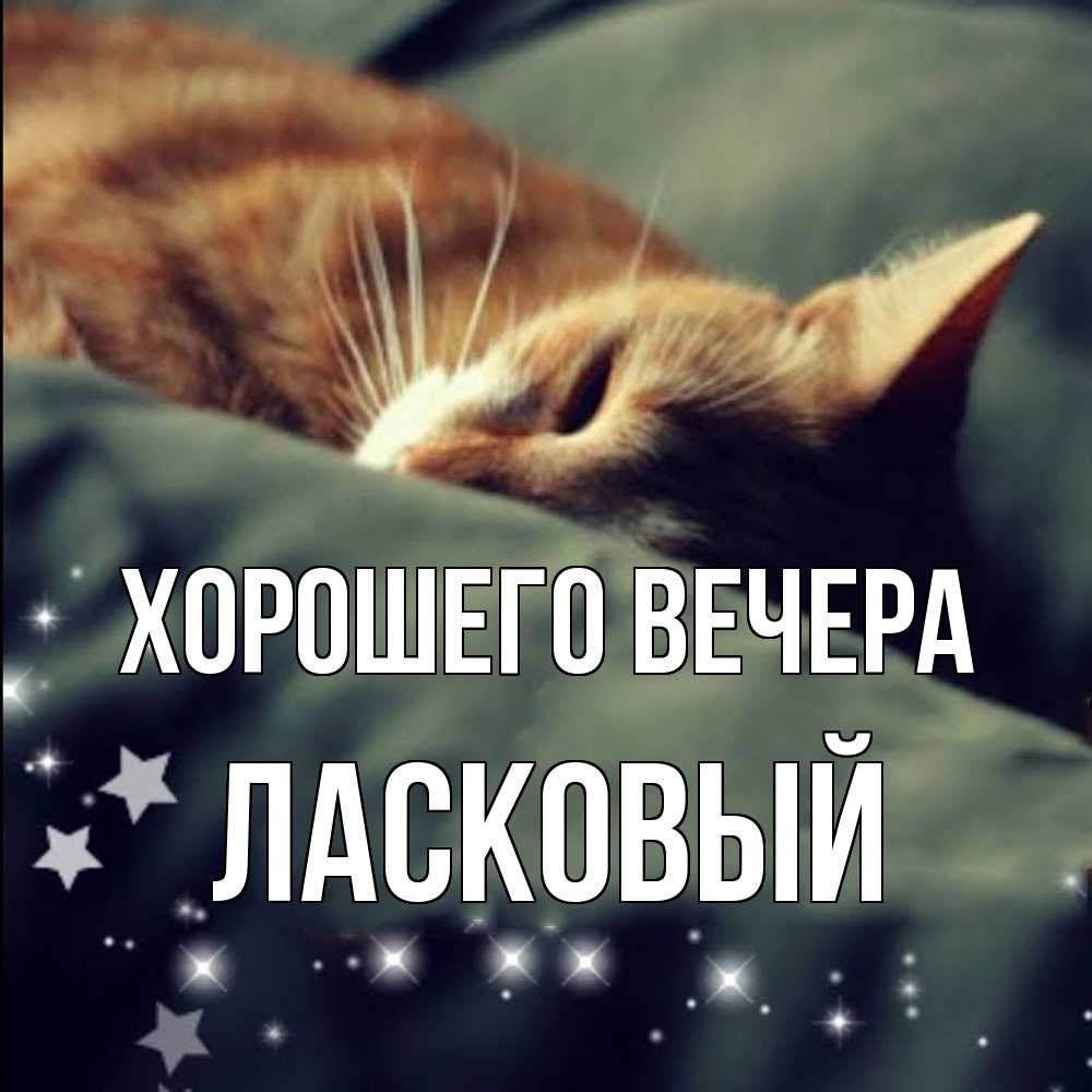 Картинка Хорошего вечера, ласковый