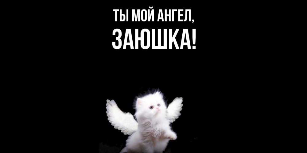 Открытка  для любимых и родных. заюшка, Ты мой ангел  