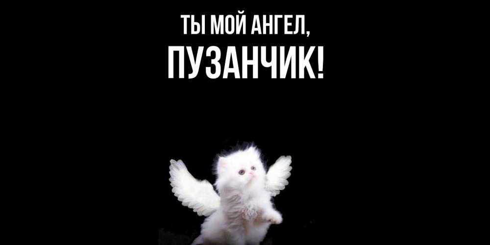 Открытка  для любимых и родных. пузанчик, Ты мой ангел  