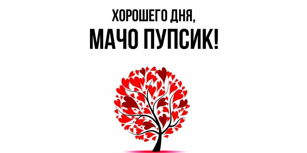 Открытка  для любимых и родных. мачо, Хорошего дня  