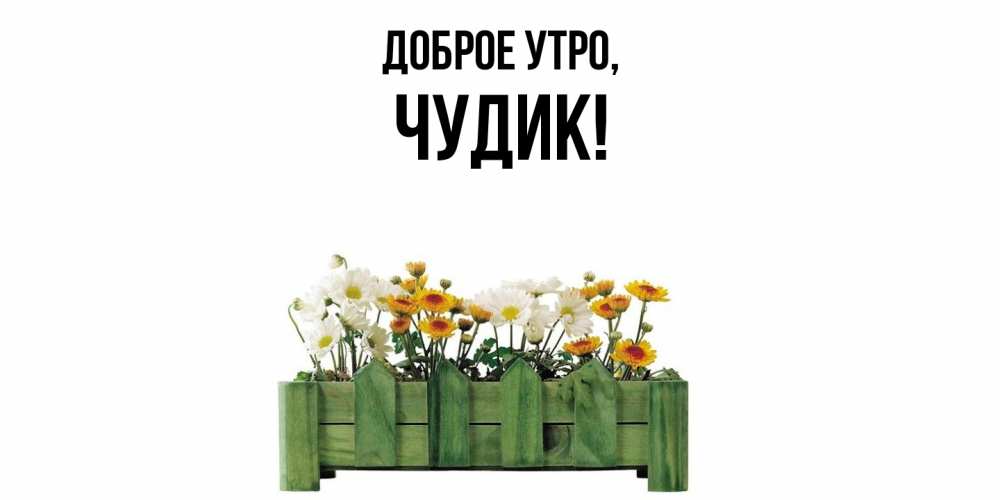 Картинка Доброе утро, чудик