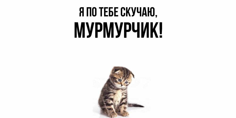 Открытка  для любимых и родных. мурмурчик, Я по тебе скучаю  