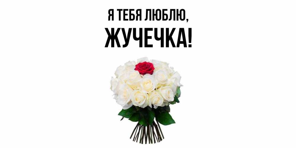 Открытка  для любимых и родных. жучечка, Я тебя люблю  