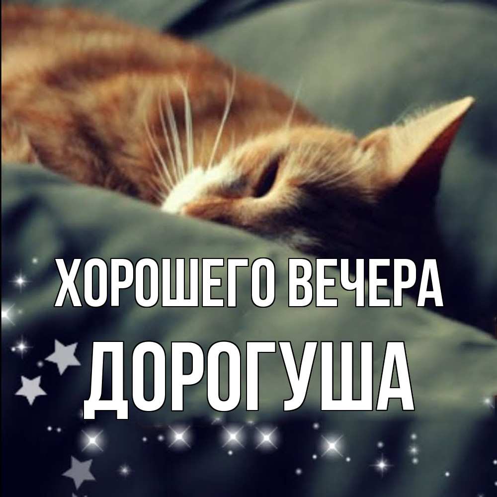 Картинка Хорошего вечера, дорогуша