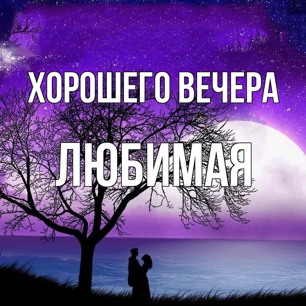 Открытка  для любимых и родных. Любимая, Хорошего вечера  