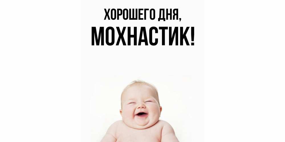 Открытка  для любимых и родных. мохнастик, Хорошего дня  