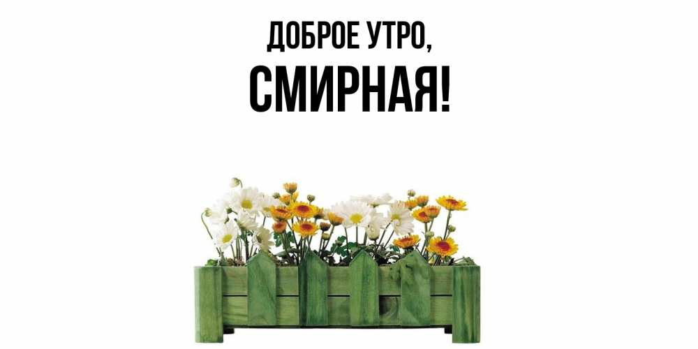 Открытка  для любимых и родных. смиpная, Доброе утро  