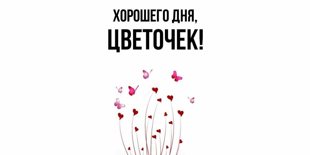 Открытка  для любимых и родных. цветочек, Хорошего дня  