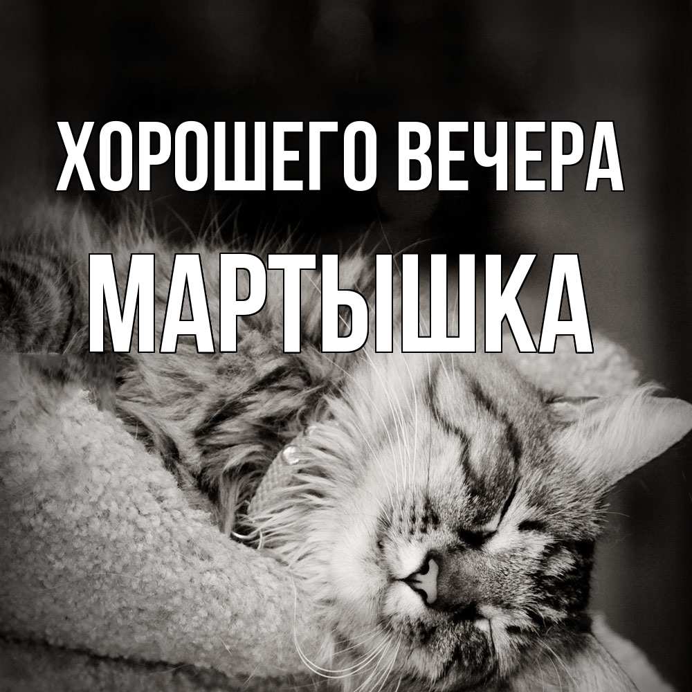 Картинка Хорошего вечера, мартышка