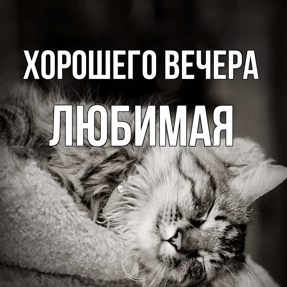 Открытка  для любимых и родных. Любимая, Хорошего вечера  