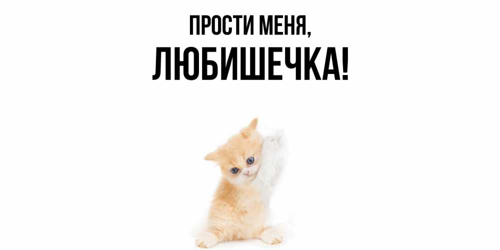 Картинка Прости меня, любишечка