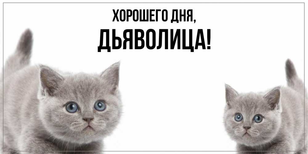 Открытка  для любимых и родных. дьяволица, Хорошего дня  