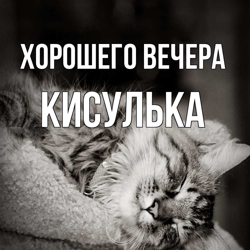Открытка  для любимых и родных. кисулька, Хорошего вечера  