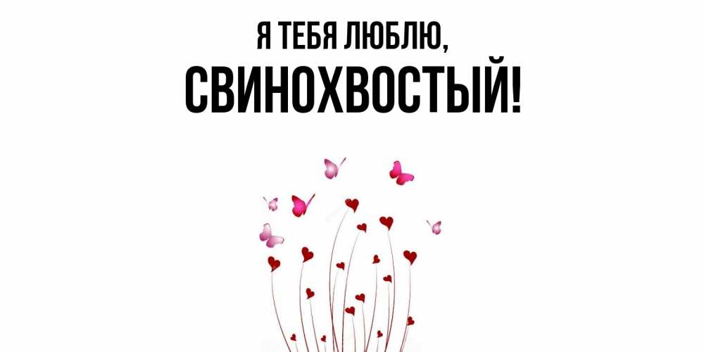 Открытка  для любимых и родных. свинохвостый, Я тебя люблю  