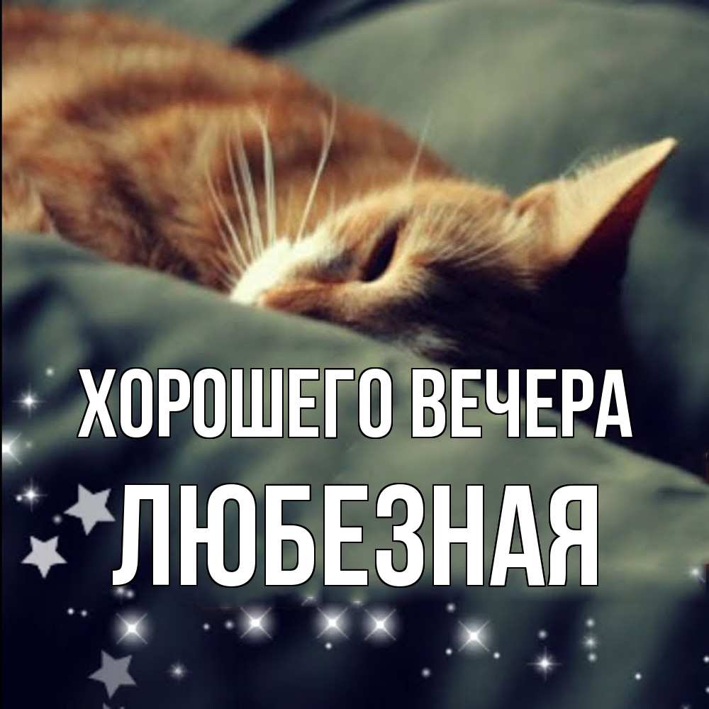 Открытка с именем, любезная, Хорошего вечера