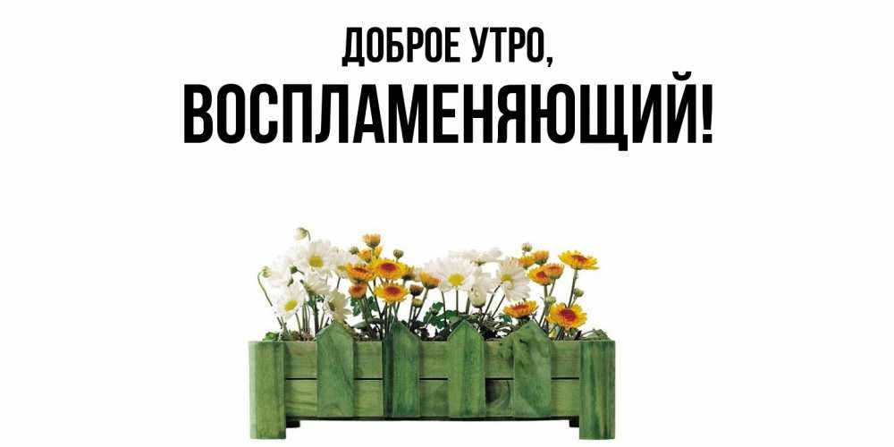 Открытка  для любимых и родных. воспламеняющий, Доброе утро  