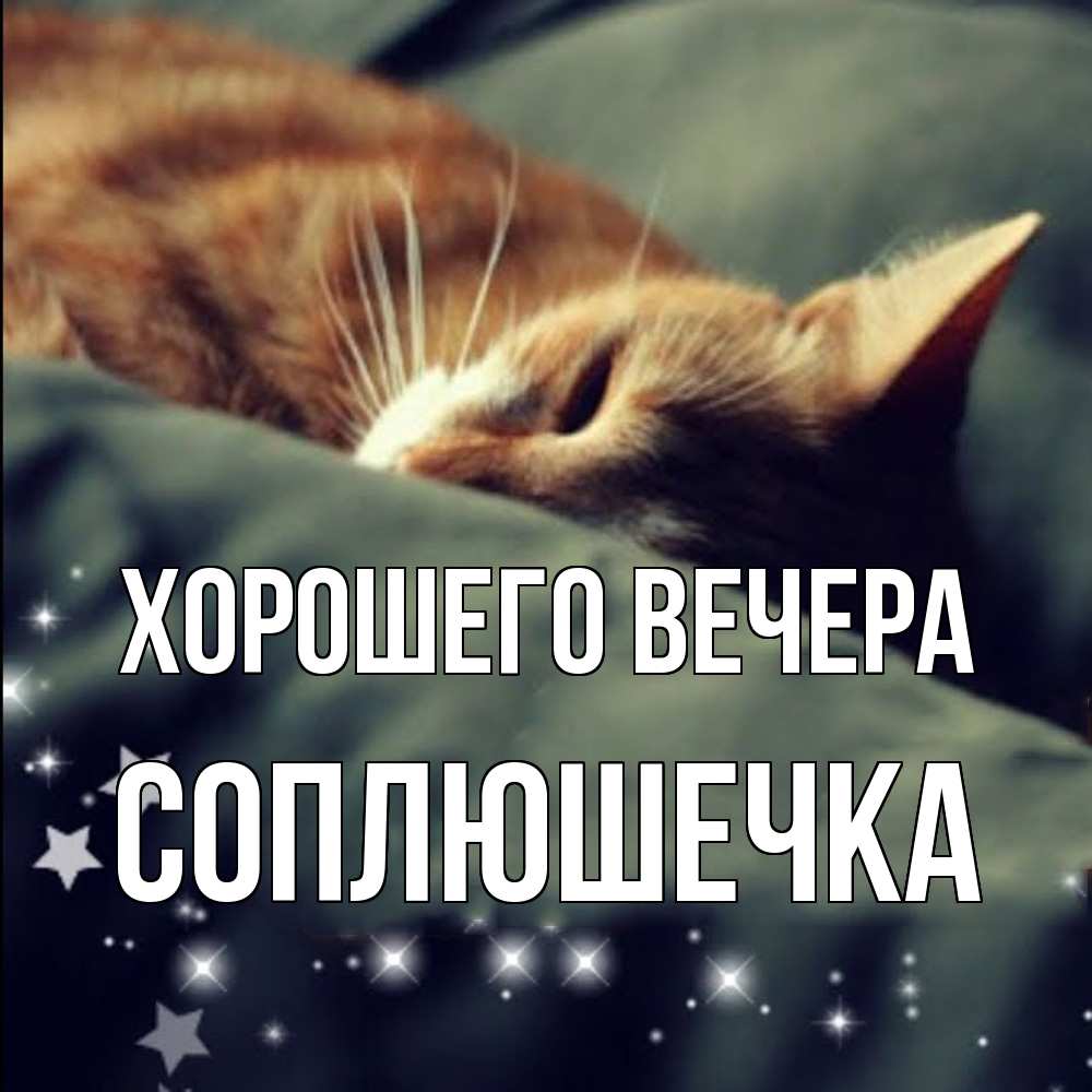 Картинка Хорошего вечера, соплюшечка
