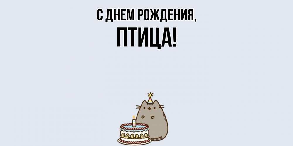 Картинка С днем рождения, птица