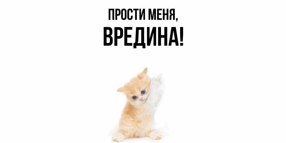 Открытка с именем, вредина, Прости меня