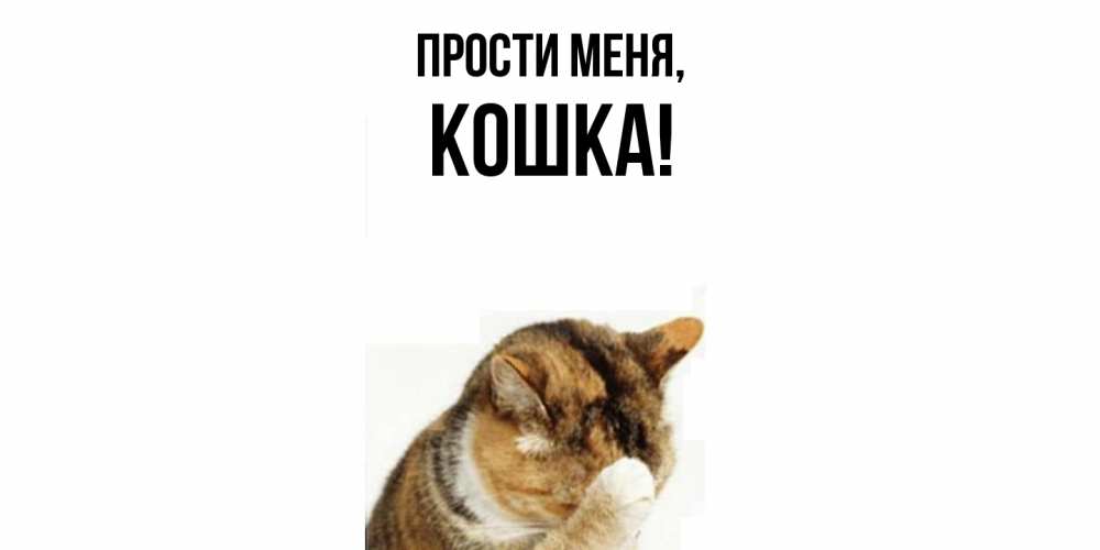Открытка  для любимых и родных. кошка, Прости меня  