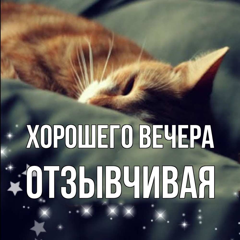 Открытка  для любимых и родных. отзывчивая, Хорошего вечера  