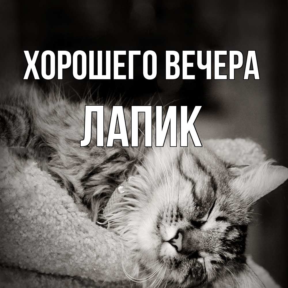 Картинка Хорошего вечера, лапик