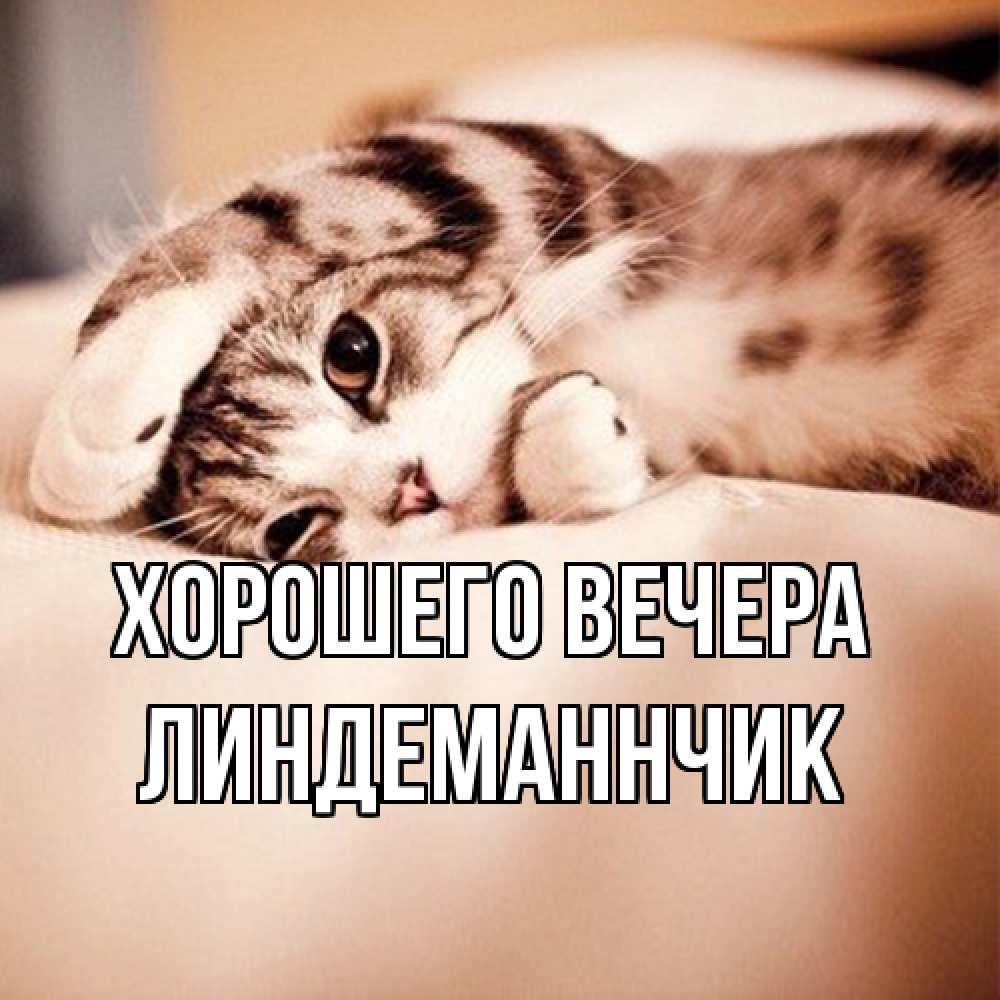 Открытка  для любимых и родных. линдеманнчик, Хорошего вечера  