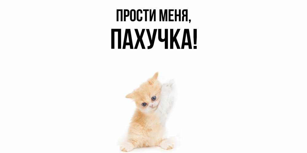 Открытка  для любимых и родных. пахучка, Прости меня  