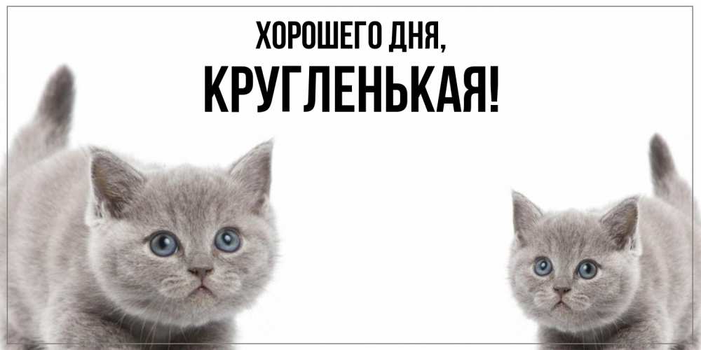 Открытка  для любимых и родных. кругленькая, Хорошего дня  