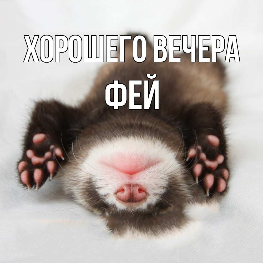 Открытка  для любимых и родных. фей, Хорошего вечера  