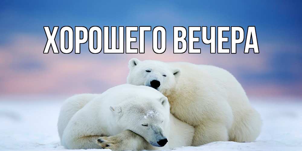 Открытка с подписью, открытка-бесплатно, Хорошего вечера
