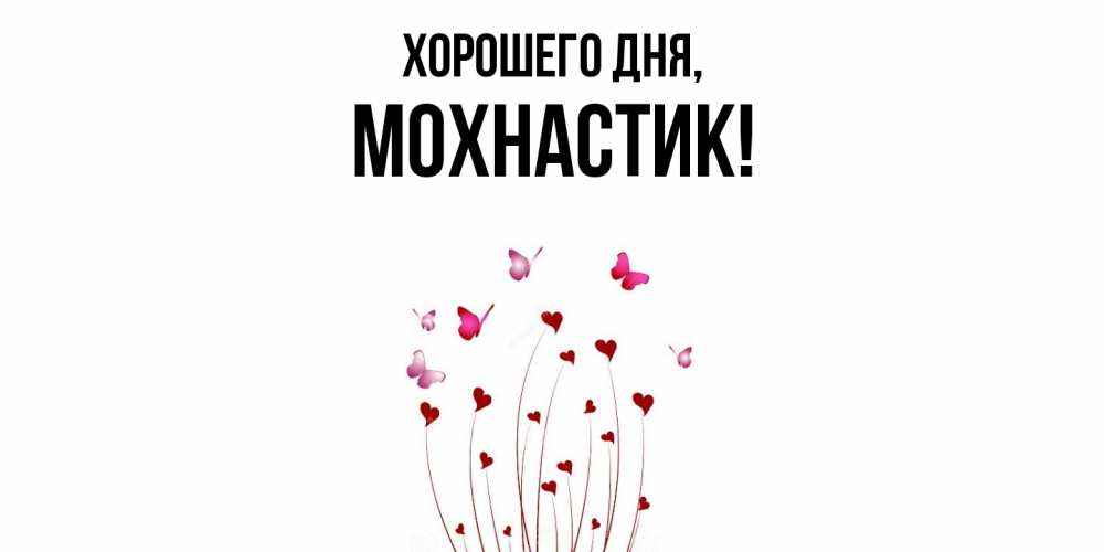 Открытка  для любимых и родных. мохнастик, Хорошего дня  