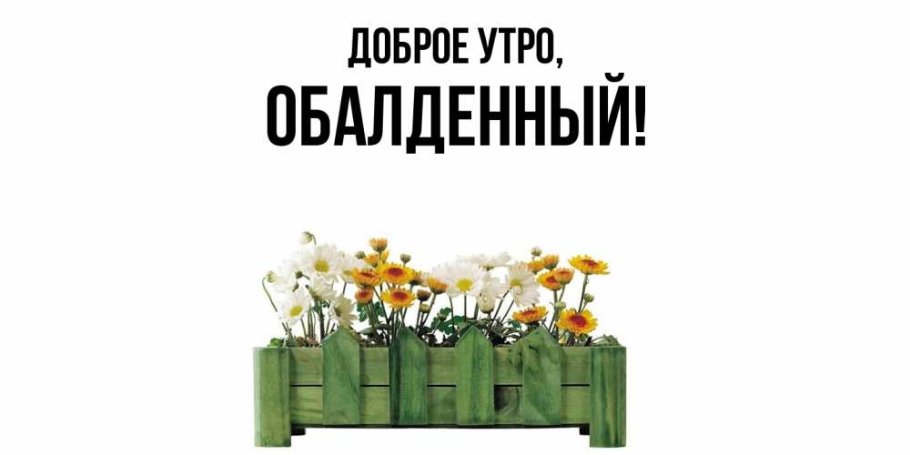 Открытка  для любимых и родных. обалденный, Доброе утро  