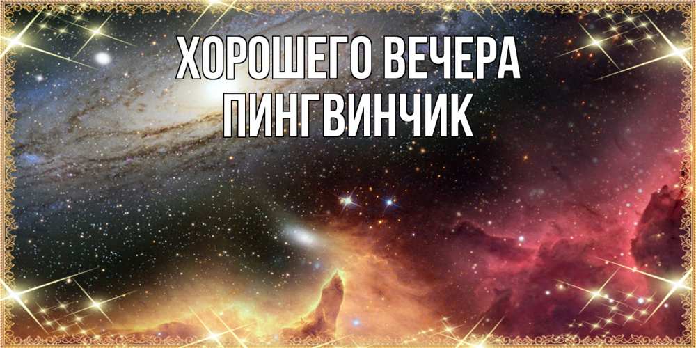 Открытка  для любимых и родных. пингвинчик, Хорошего вечера  