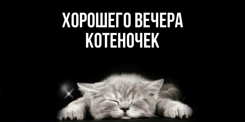 Открытка  для любимых и родных. котеночек, Хорошего вечера  