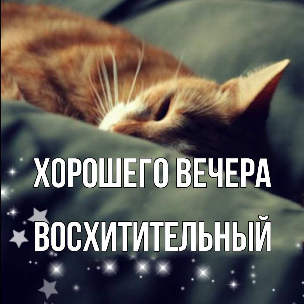 Открытка  для любимых и родных. восхитительный, Хорошего вечера  