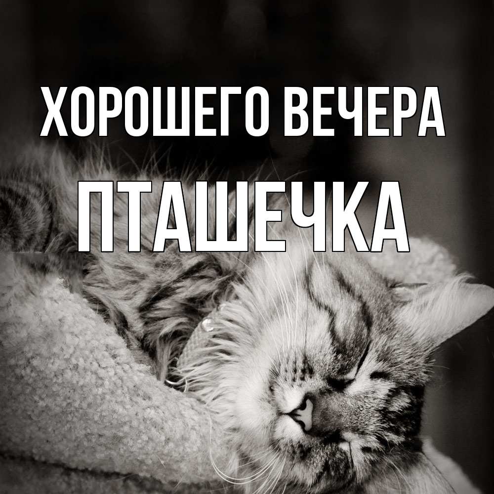 Открытка  для любимых и родных. пташечка, Хорошего вечера  