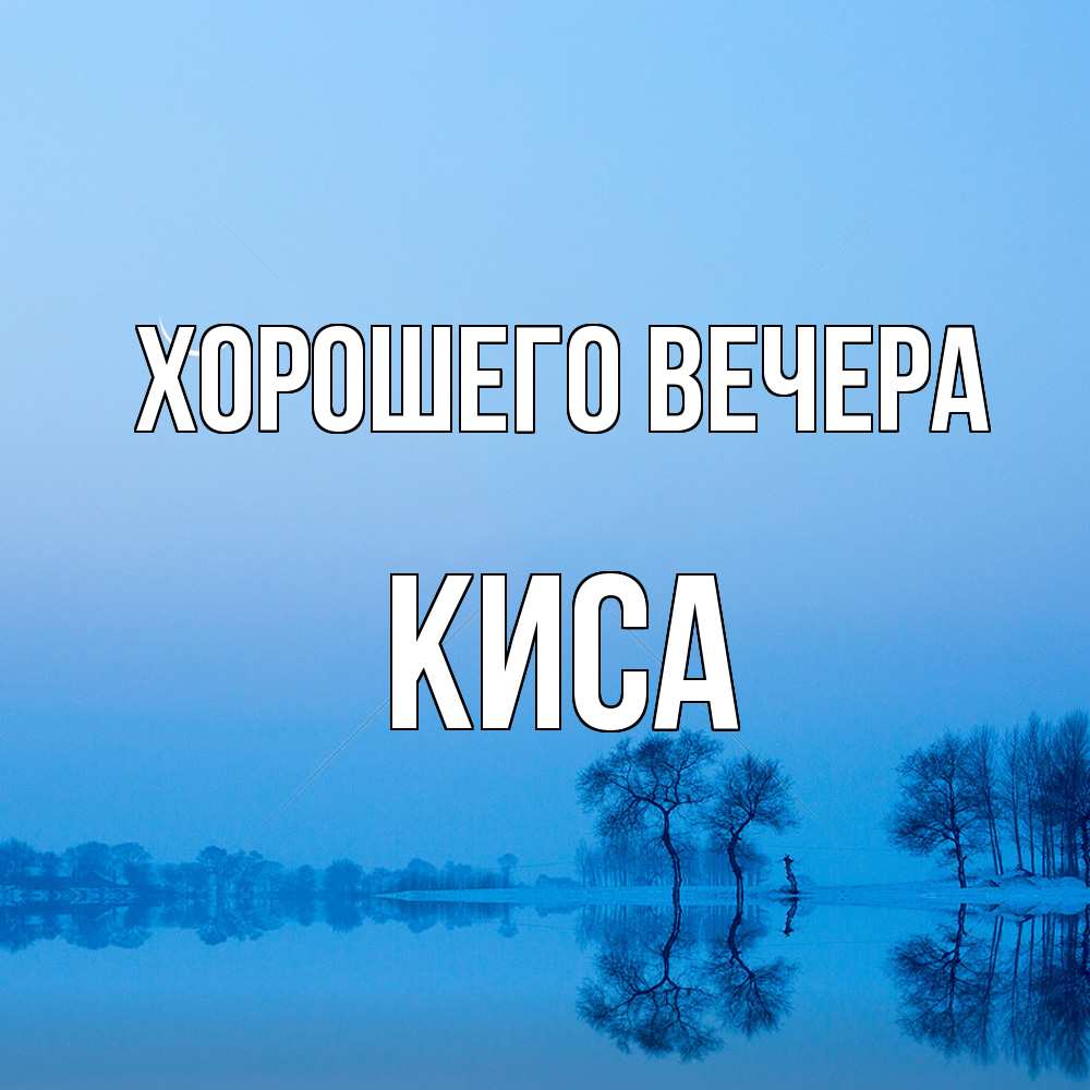 Открытка  для любимых и родных. киса, Хорошего вечера  