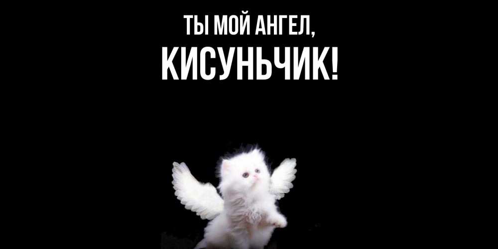 Открытка  для любимых и родных. кисуньчик, Ты мой ангел  