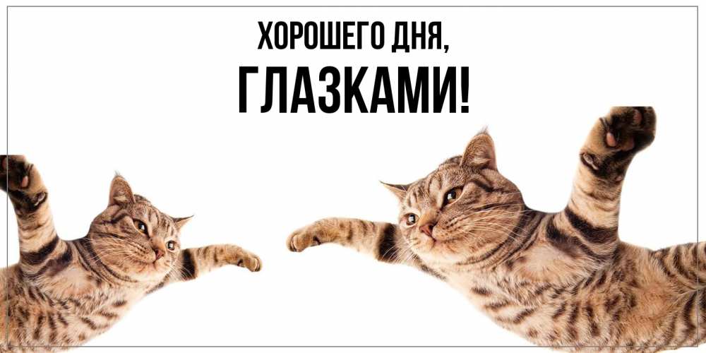 Открытка  для любимых и родных. глазками, Хорошего дня  