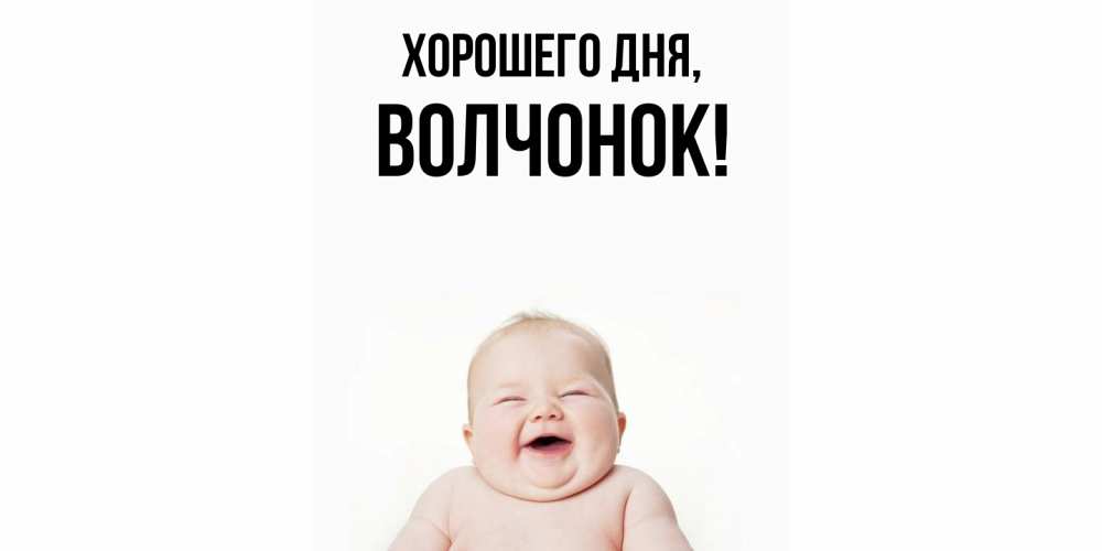 Открытка  для любимых и родных. волчонок, Хорошего дня  