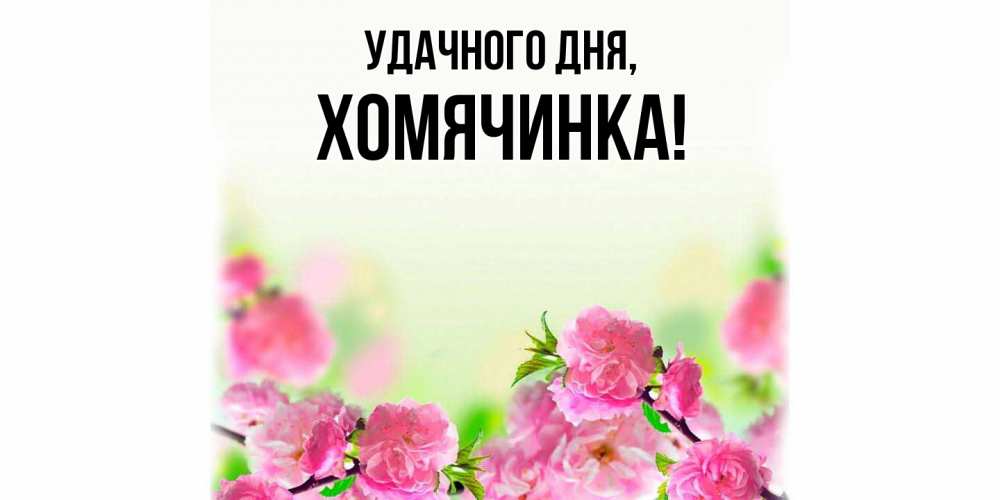 Картинка Удачного дня, хомячинка