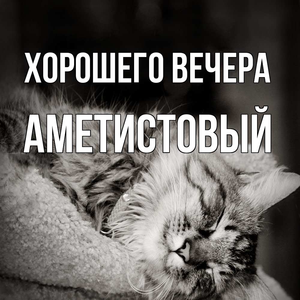 Открытка  для любимых и родных. аметистовый, Хорошего вечера  