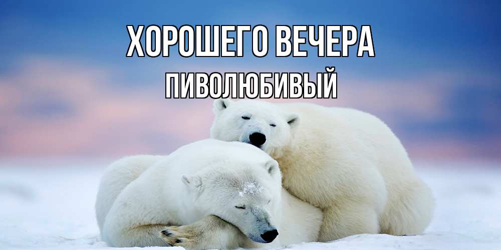 Открытка  для любимых и родных. пиволюбивый, Хорошего вечера  