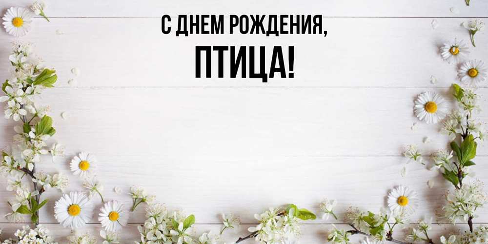 Картинка С днем рождения, птица