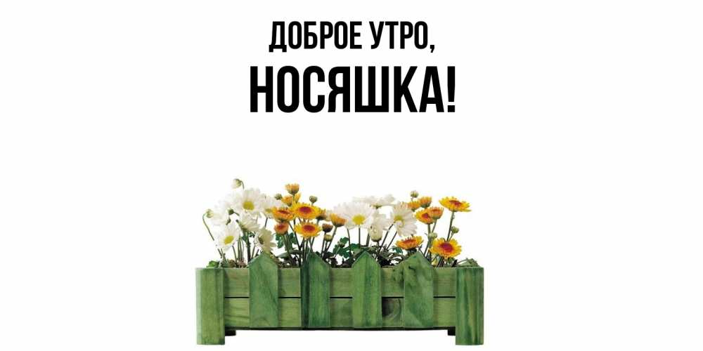 Открытка с именем, носяшка, Доброе утро