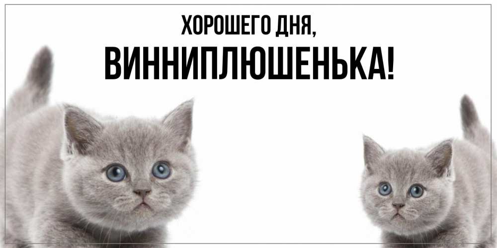 Открытка  для любимых и родных. винниплюшенька, Хорошего дня  