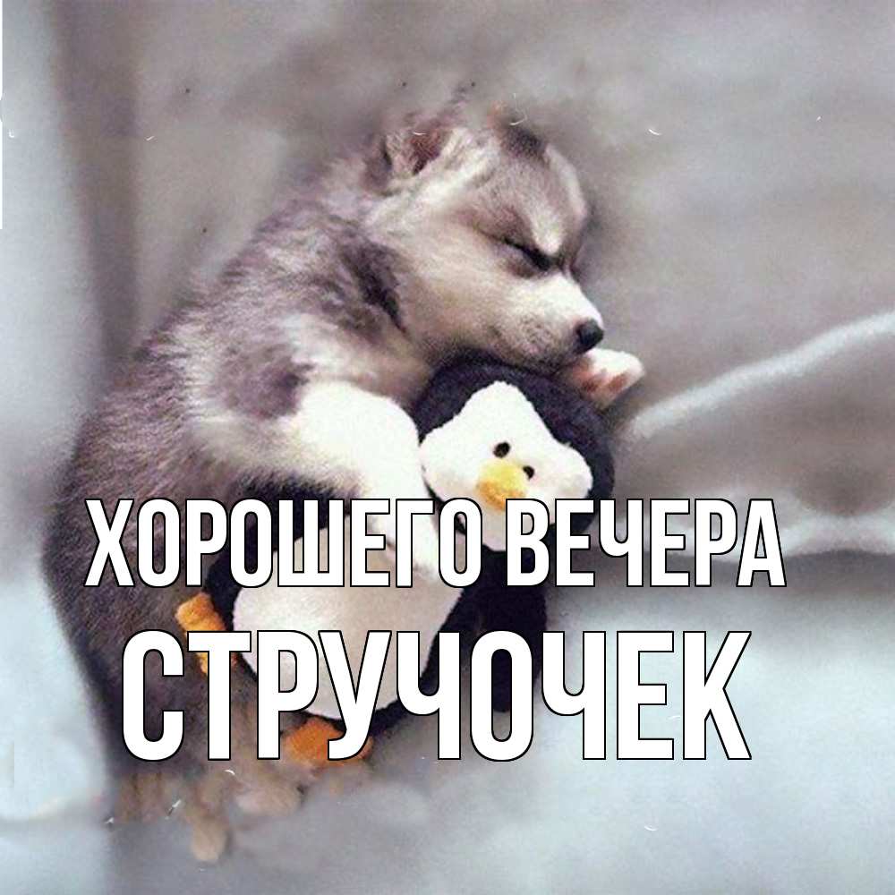 Картинка Хорошего вечера, стручочек